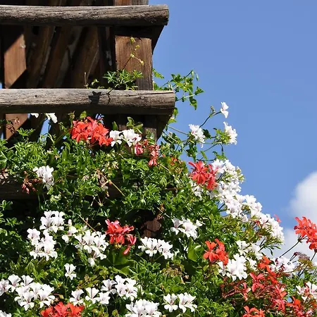 Gasthof Thurner بيت ضيافة